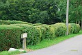 Eigenzinnige heg Achterhoek